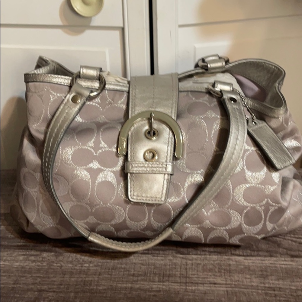 Coach metallic purse